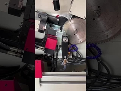 LDX-020A 원형 톱날 깎는 기계